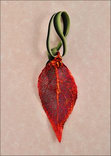 Real Leaf Ornaments | Evergreen Leaf Ornament