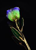 Gold Trimmed Rose in Peridot Blue Violet Pearl