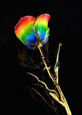 Rainbow Rose-Gold Trimmed Rose in Rainbow Colors
