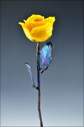 Copper Trimmed Rose in Yellow