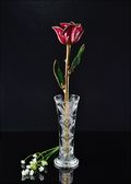 Gold Trimmed Abracadabra Rose with Bud Vase