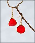 Red Rose Petal Earrings Trimmed in Gold