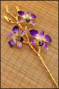 Gold Trimmed Dendrobium Orchid Stem - Purple/Yellow