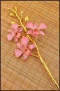 Gold Trimmed Dendrobium Orchid 3 Blossom Stem - White/Pink