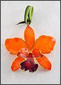 Cattleya Orchid Ornament in Orange