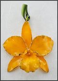 Cattleya Orchid Ornament in Yellow