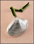 Real Shell Ornament in Silver - Calista Clam