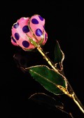 Licorice Rose -Gold Trimmed in Pink w/Purple Polka Dots