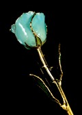 Gold Trimmed Rose in Aquamarine