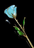 Gold Trimmed Baby Blue Rose