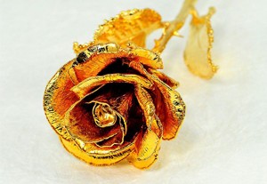 Gold and Silver Dipped Roses