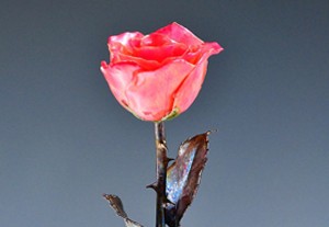 Copper Trimmed Roses
