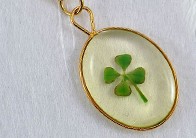 Four Leaf Clover