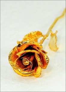 Gold Rose | Gold Dipped Rose