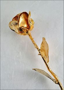 Gold Rose | 18" Gold Rose
