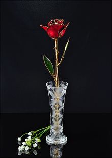 Gold Rose | Rose with Vase