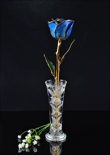 Gold Rose | Rose with Vase