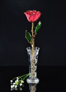 Gold Rose | Rose with Vase