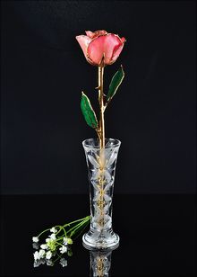 Gold Rose | Rose with Vase