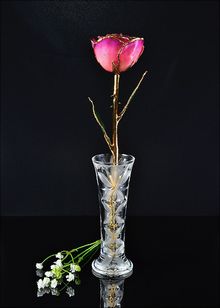 Gold Rose | Rose with Vase