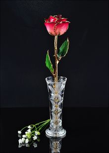 Gold Rose | Rose with Vase