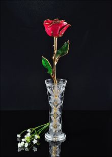 Gold Rose | Rose with Vase