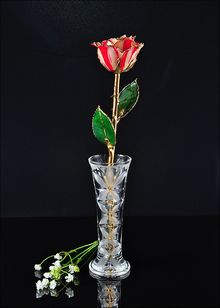 Gold Rose | Rose with Vase