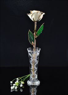 Gold Rose | Rose with Vase