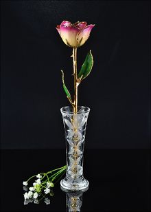 Gold Rose | Rose with Vase