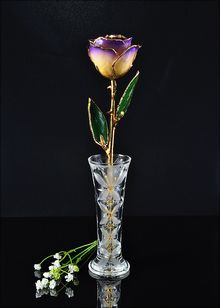 Gold Rose | Rose with Vase