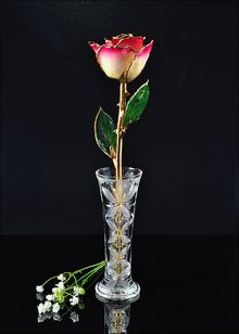 Gold Rose | Rose with Vase