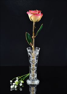 Gold Rose | Rose with Vase