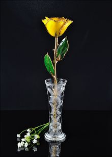 Gold Rose | Rose with Vase