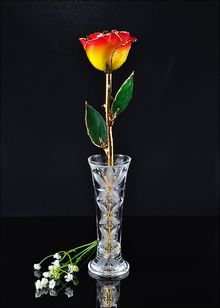 Gold Rose | Rose with Vase