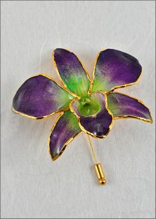 Real Orchid Pin | Gold Orchid Brooch