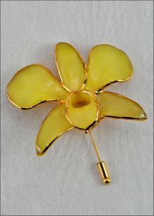 Real Orchid Pin | Gold Orchid Brooch