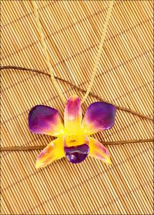 Real Orchid Jewelry | Orchid Necklace