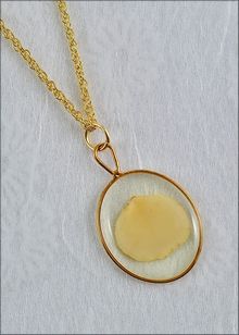 Real Rose Jewelry | Rose Petal Jewelry