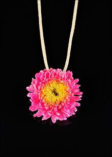 Real Aster Jewelry | Real Flower Jewelry