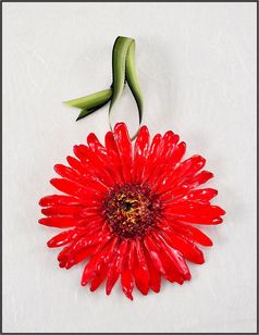 Real Gerbera Daisy | Real Flower Ornament