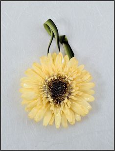 Real Gerbera Daisy | Real Flower Ornament