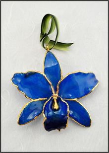 Real Cattleya Orchid | Real Flower Ornament