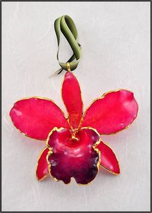 Real Cattleya Orchid | Real Flower Ornament