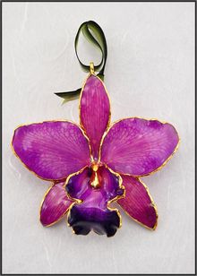 Real Cattleya Orchid | Real Flower Ornament