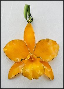 Real Cattleya Orchid | Real Flower Ornament