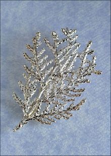 Real Leaf Jewelry | Real Leaf Pin