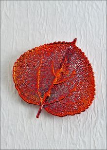 Real Leaf Jewelry | Real Leaf Pin