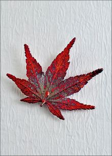 Real Leaf Jewelry | Real Leaf Pin