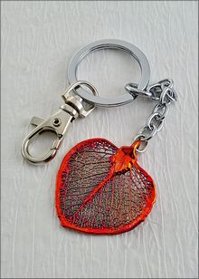 Real Leaf Key Chain | Eucalyptus Leaf Keychain