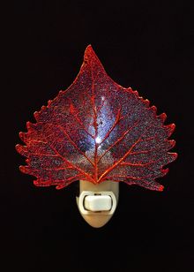 Real Leaf Nightlight | Cottonwood Leaf Nightlight